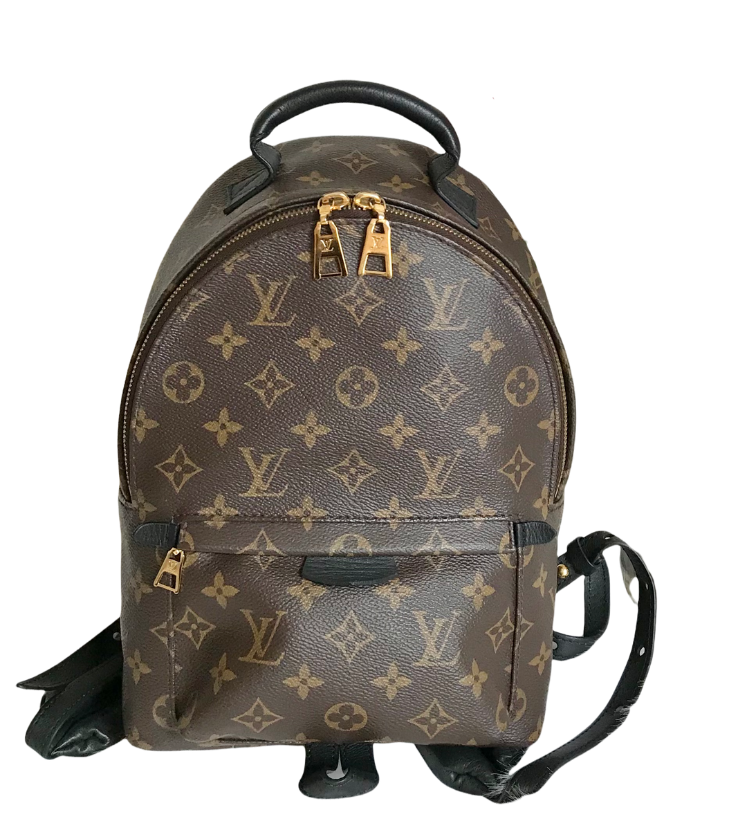 Louis Vuitton 2019 Pre-owned Monogram Palm Spring PM Backpack - Brown