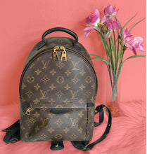 Load image into Gallery viewer, AUTHENTIC Louis Vuitton Palm Springs Monogram Backpack PM PREOWNED (WBA689)