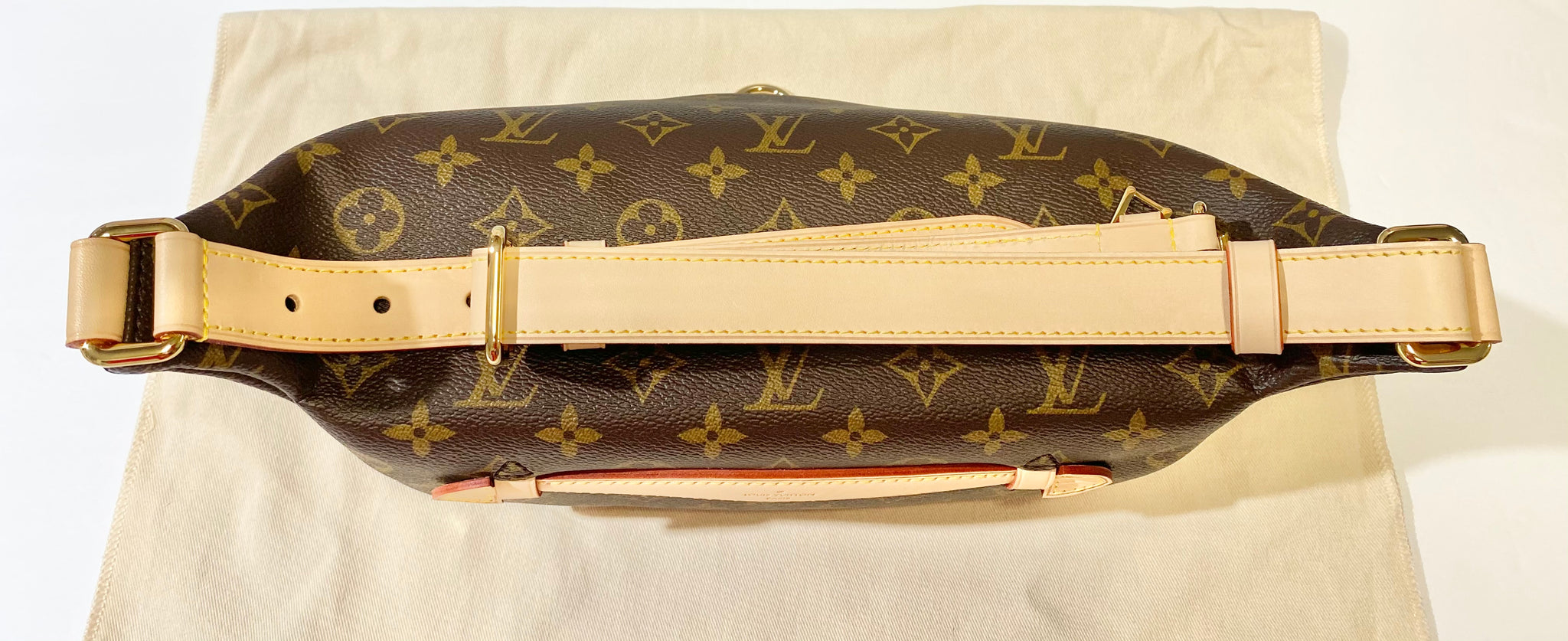 Louis Vuitton Monogram Fanny Pack Waist Bum Bag (2020)