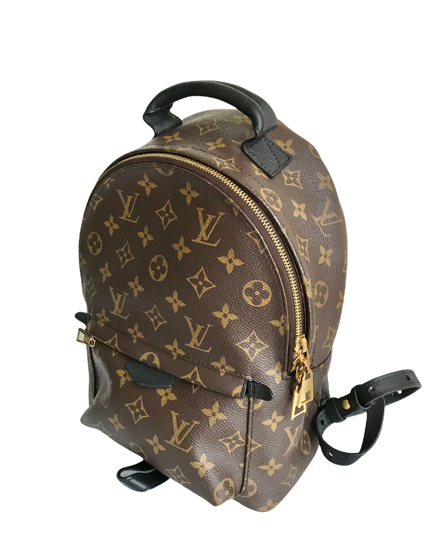 Louis Vuitton LV Palm Spring PM backpack new ref.873612 - Joli Closet