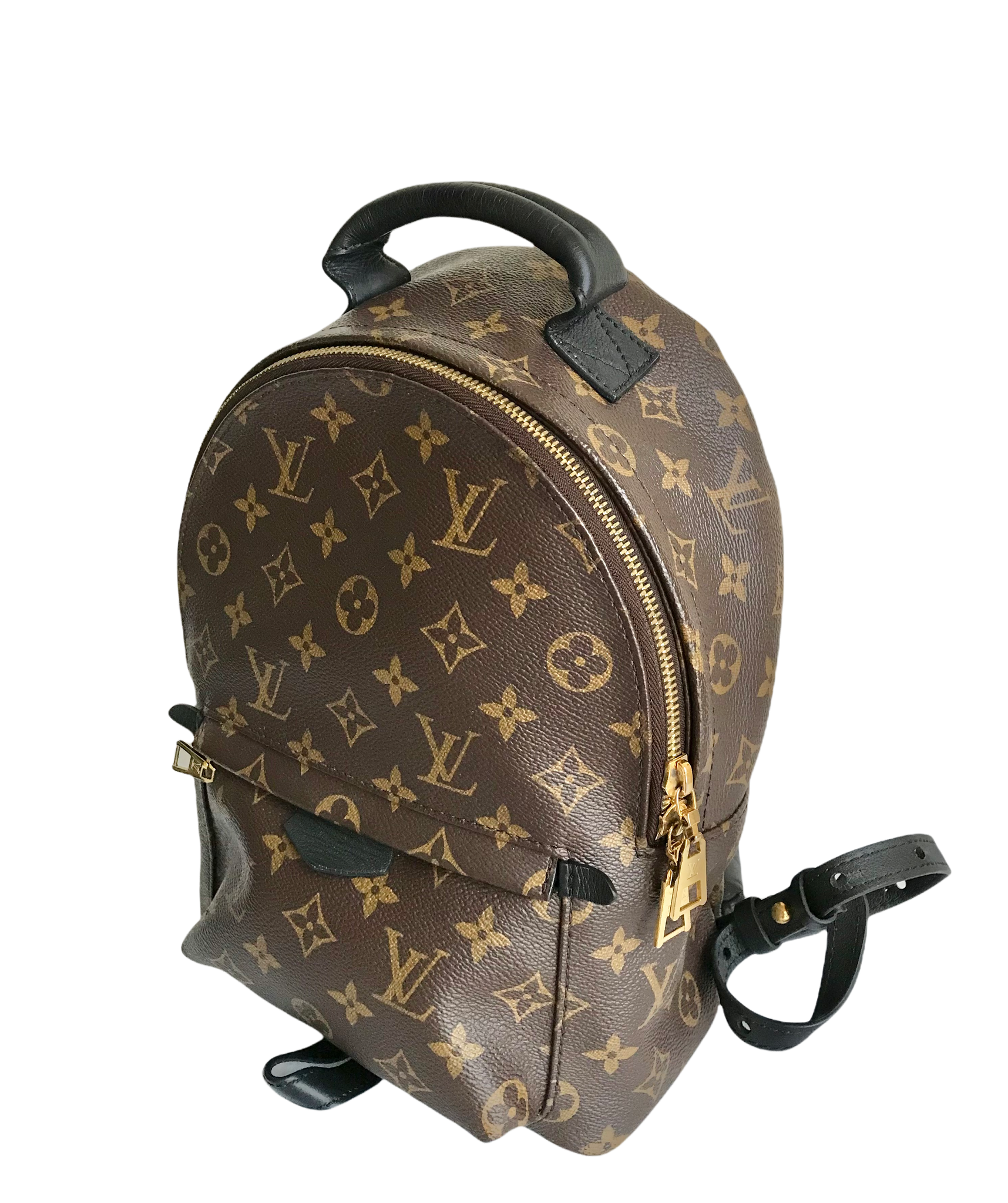 AUTHENTIC Louis Vuitton Palm Springs Monogram Backpack PM PREOWNED (WB – Jj's Closet, LLC AUTHENTIC Louis Vuitton Palm Springs Monogram Backpack PM PREOWNED (WB – Jj's Closet, LLC