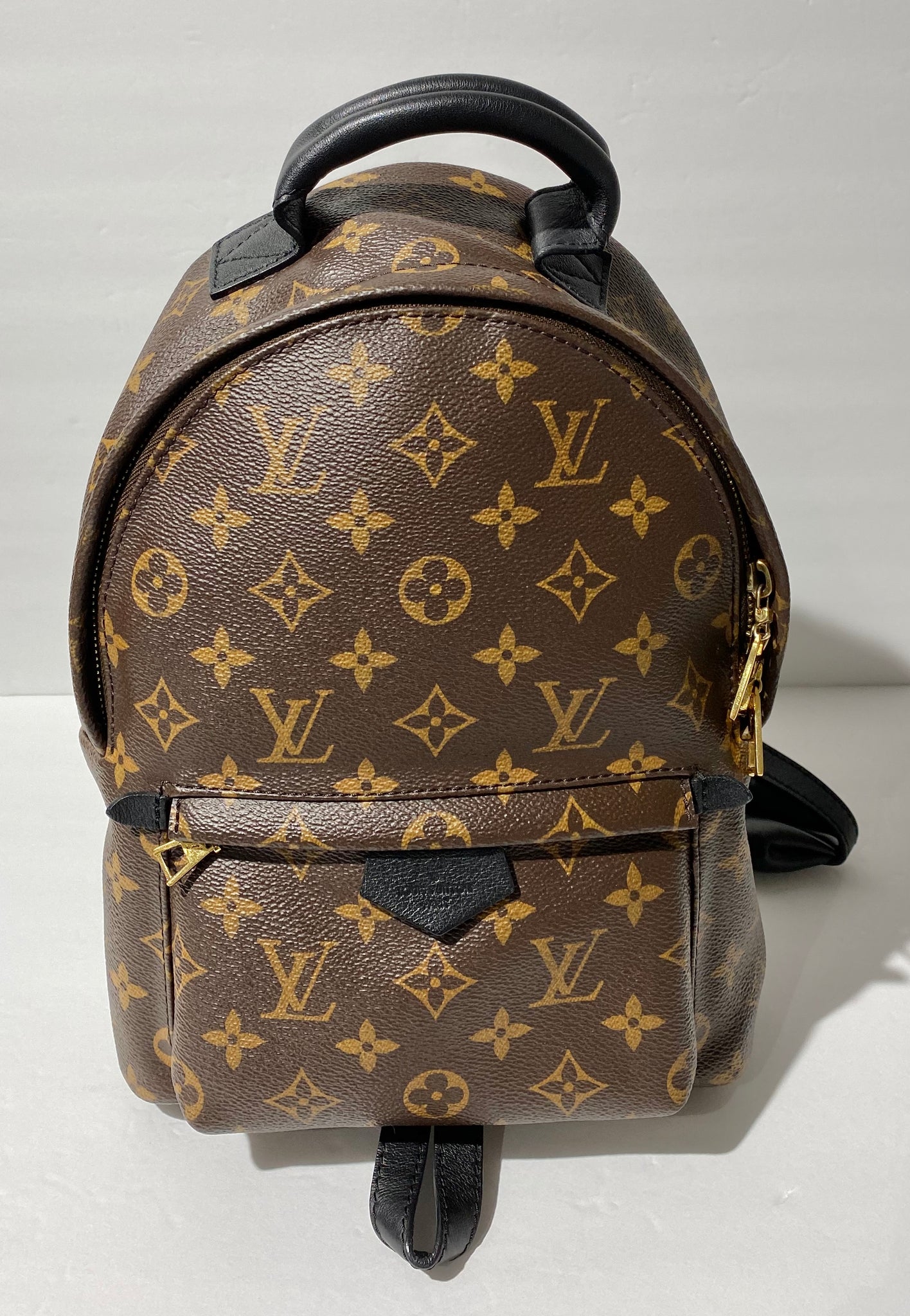 LOUIS VUITTON Palm Springs PM Monogram Canvas Backpack Brown