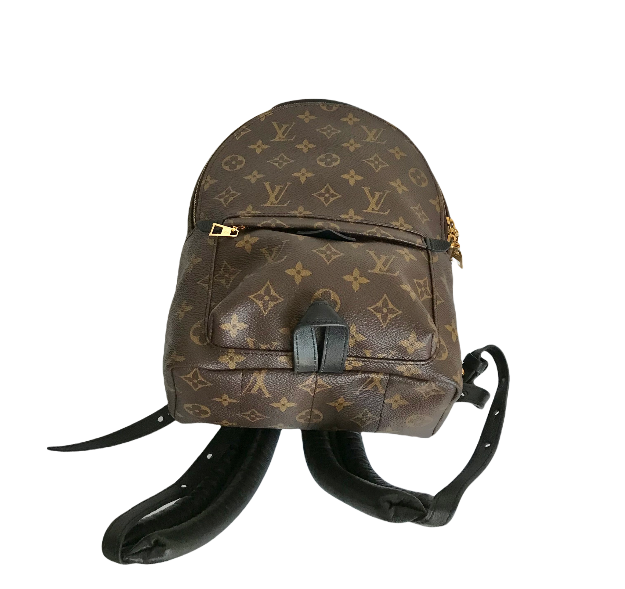 Louis Vuitton Monogram Palm Springs PM Backpack - A World Of Goods For You,  LLC