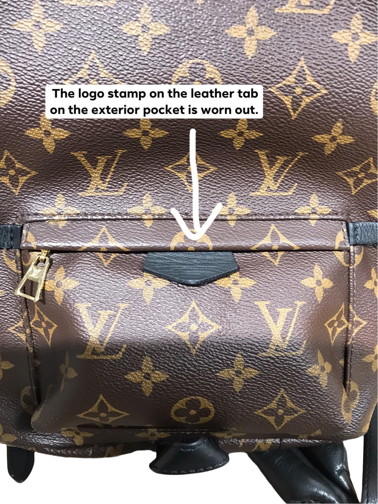 Palm Spring PM, Used & Preloved Louis Vuitton Backpack