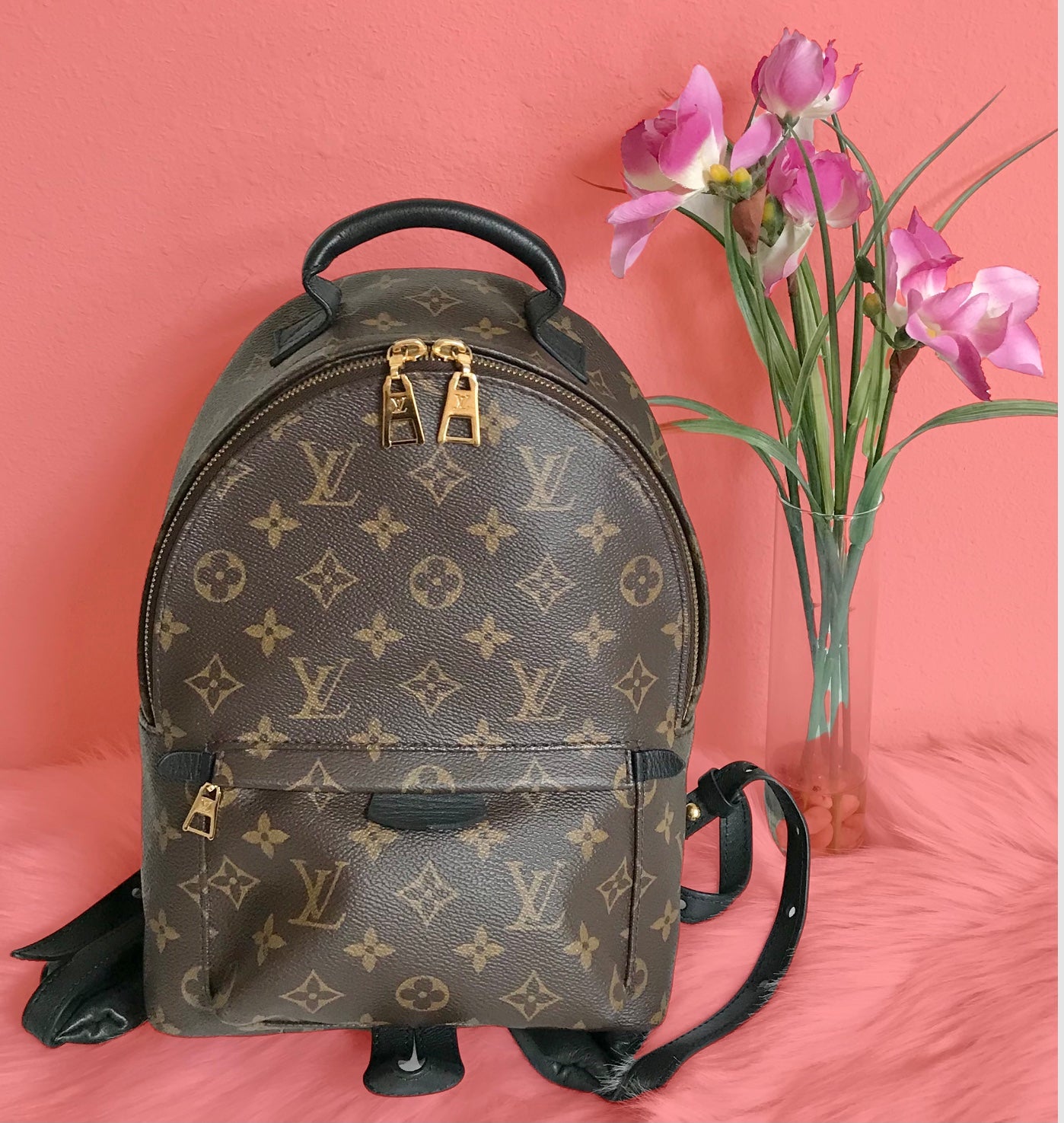 AUTHENTIC Louis Vuitton Palm Springs Monogram Backpack PM PREOWNED (WB – Jj's Closet, LLC