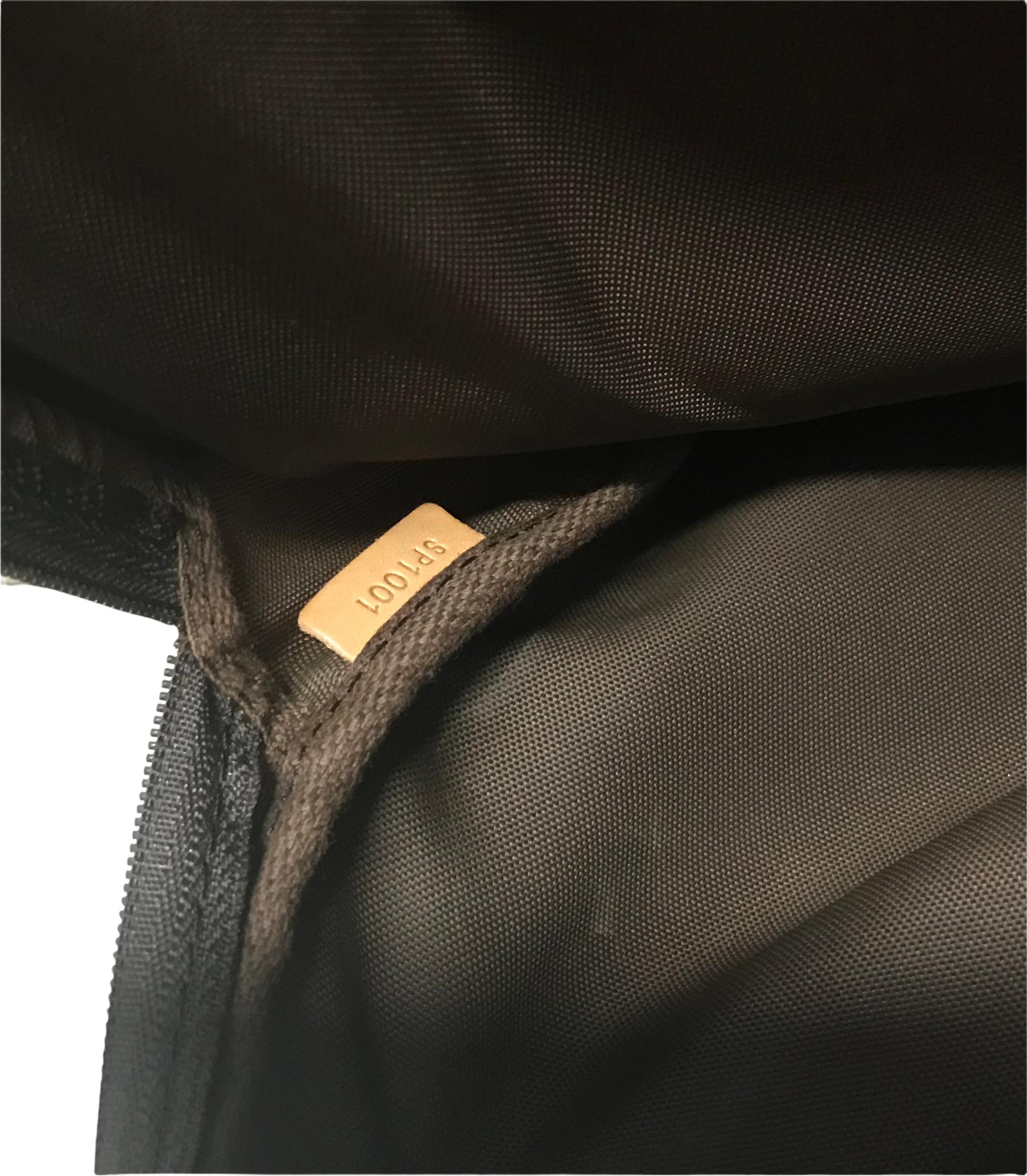 Louis Vuitton Pégase Suitcase 356515