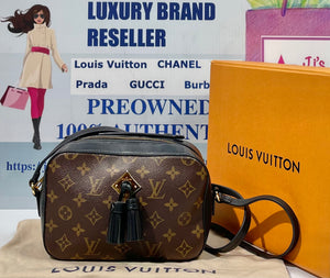 Louis Vuitton Saintonge Multiple colors Cloth ref.891085 - Joli Closet