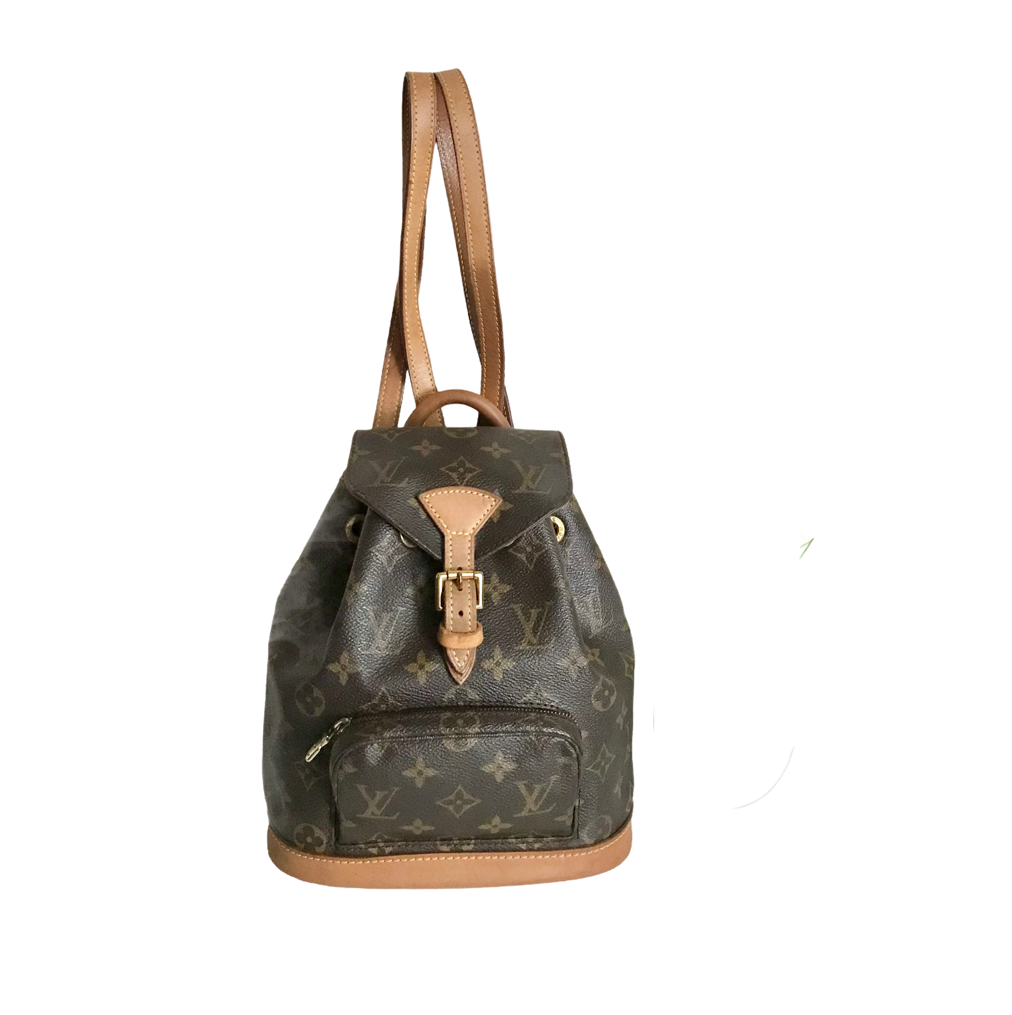 Louis Vuitton Pre-Owned Brown Monogram Montsouris PM Backpack